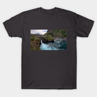 Cascades T-Shirt